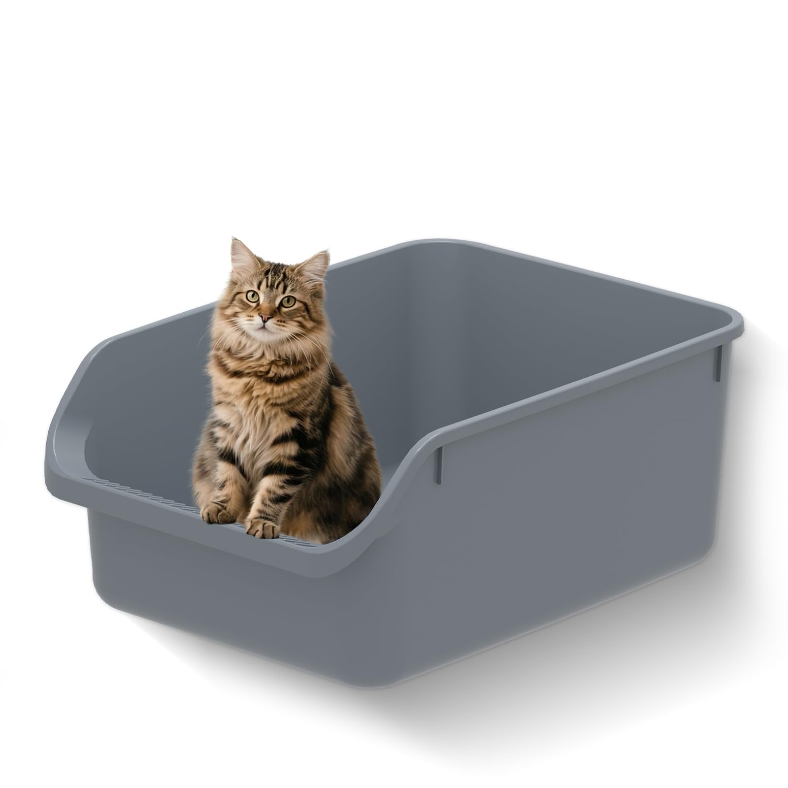TAILRYTH large cat litter box with open top supports easy entry for kittens and seniors