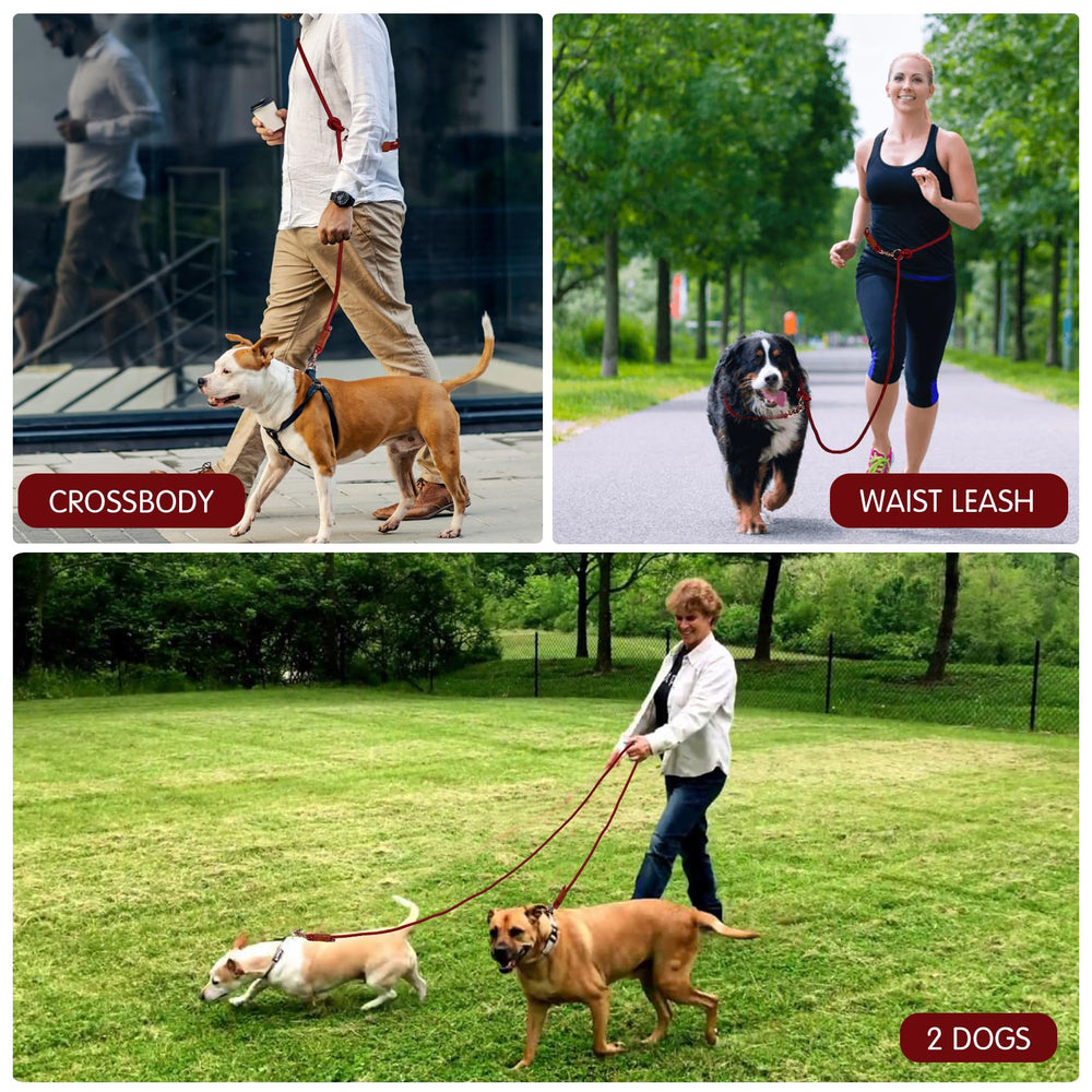 Tails & Tales 360-degree hardware reduces knots during multi-pet walks.