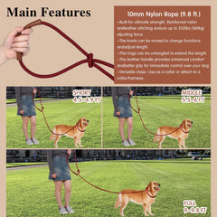 Tails & Tales dual-handle slip-lead offers closer control for strong pullers.