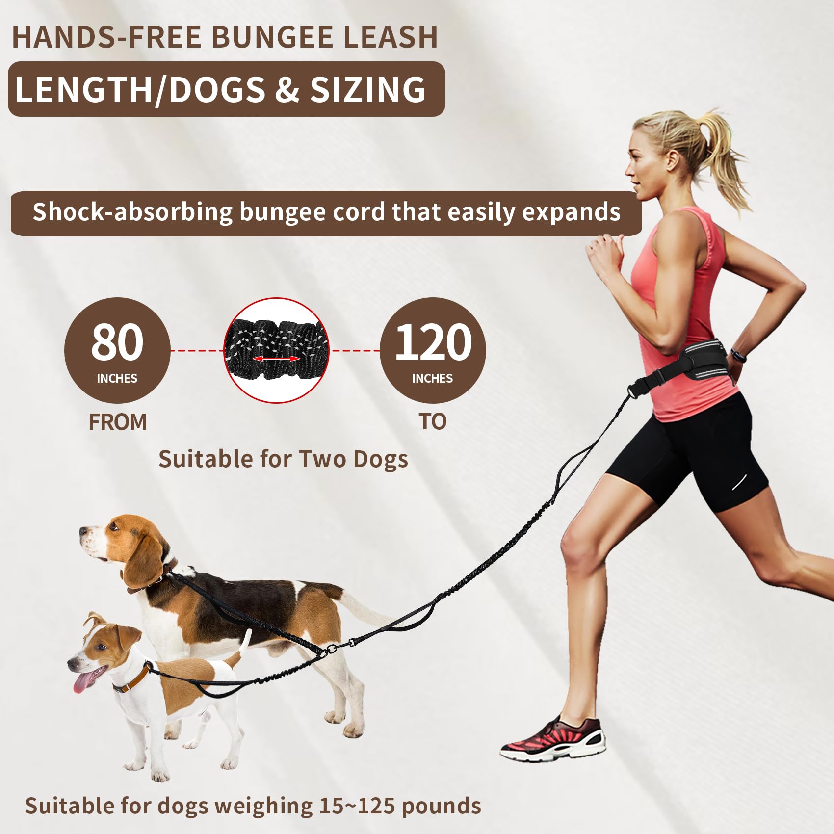 Tails & Tales hands-free leash reflective features for safer evening walks