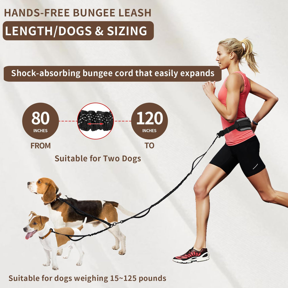 Tails & Tales hands-free leash reflective features for safer evening walks