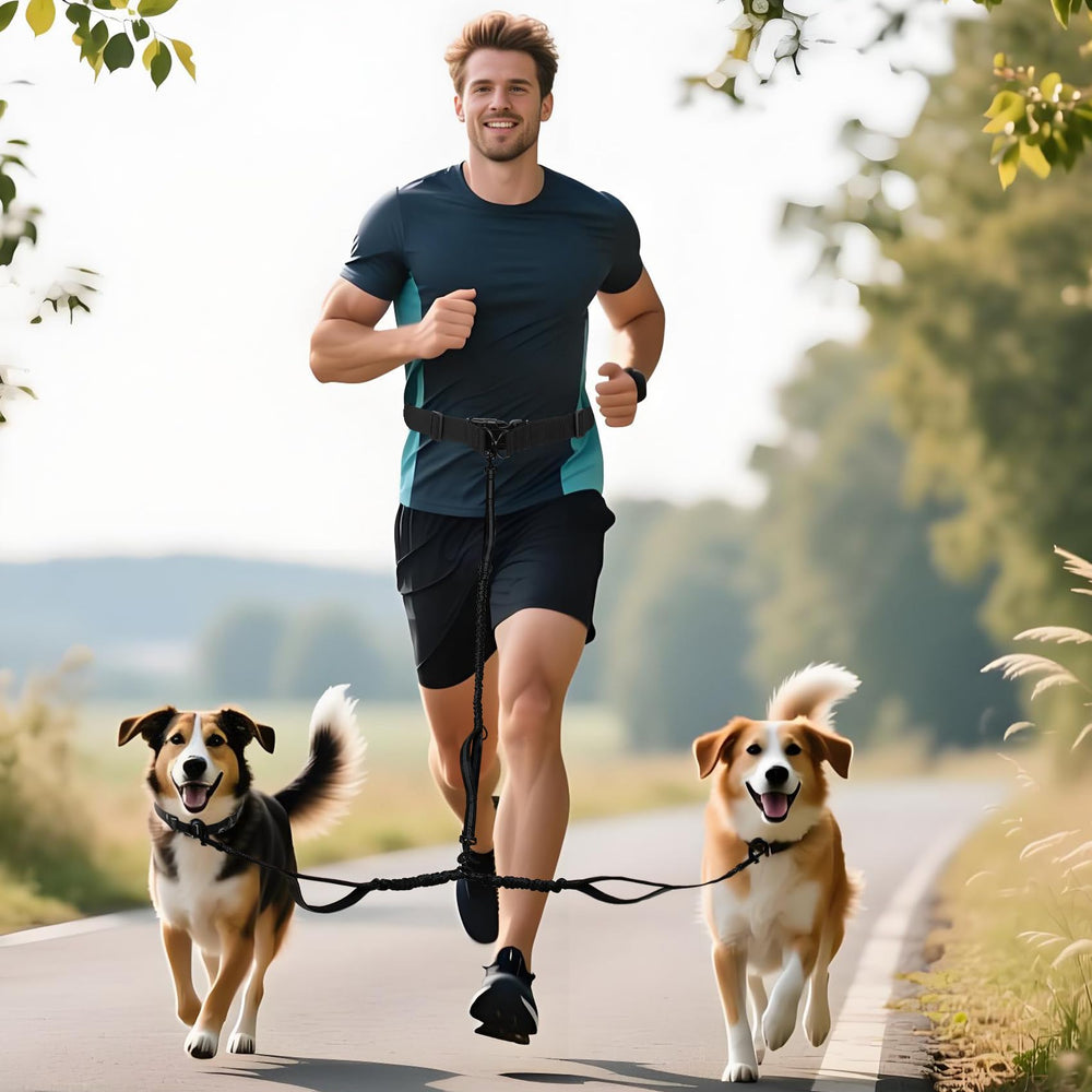 Tails & Tales hands-free leash three-pocket pouch keeps essentials handy