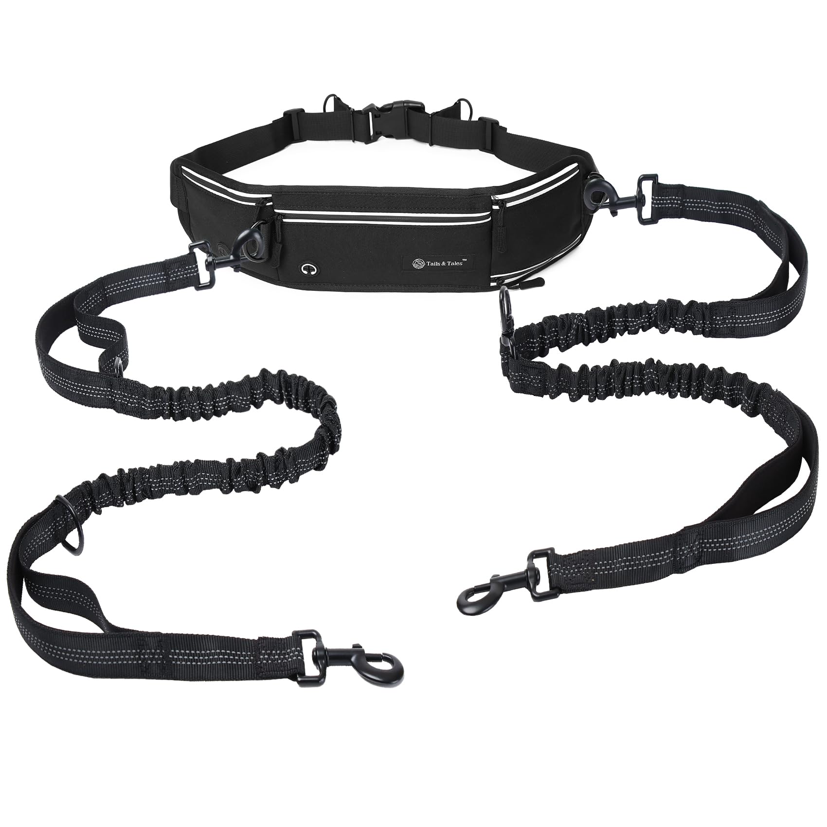 Tails & Tales hands-free leash two-dog walking setup for side-by-side adventures