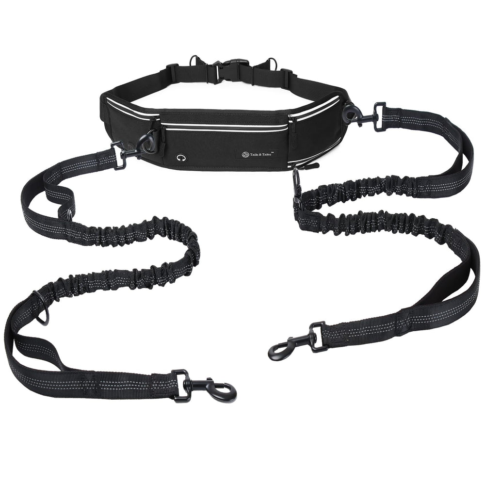Tails & Tales hands-free leash two-dog walking setup for side-by-side adventures