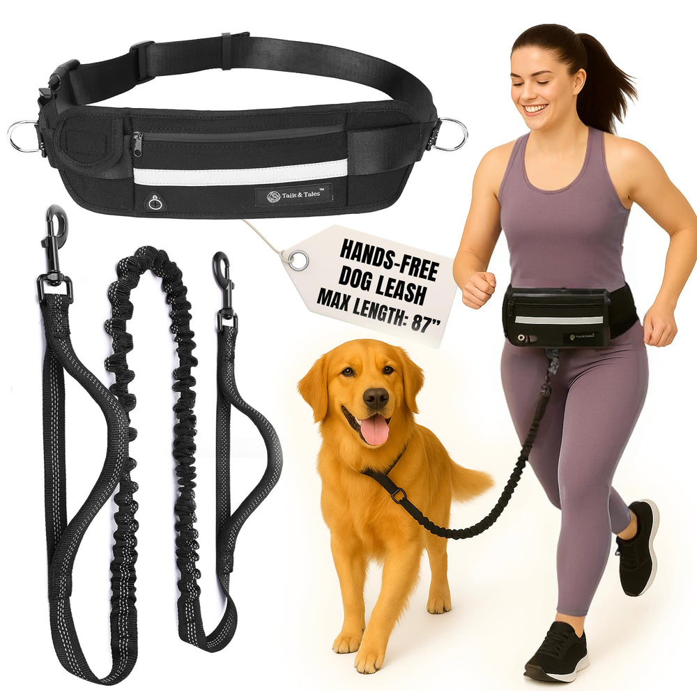 Tails & Tales hands-free waist leash closeup of durable metal clasps for secure control.