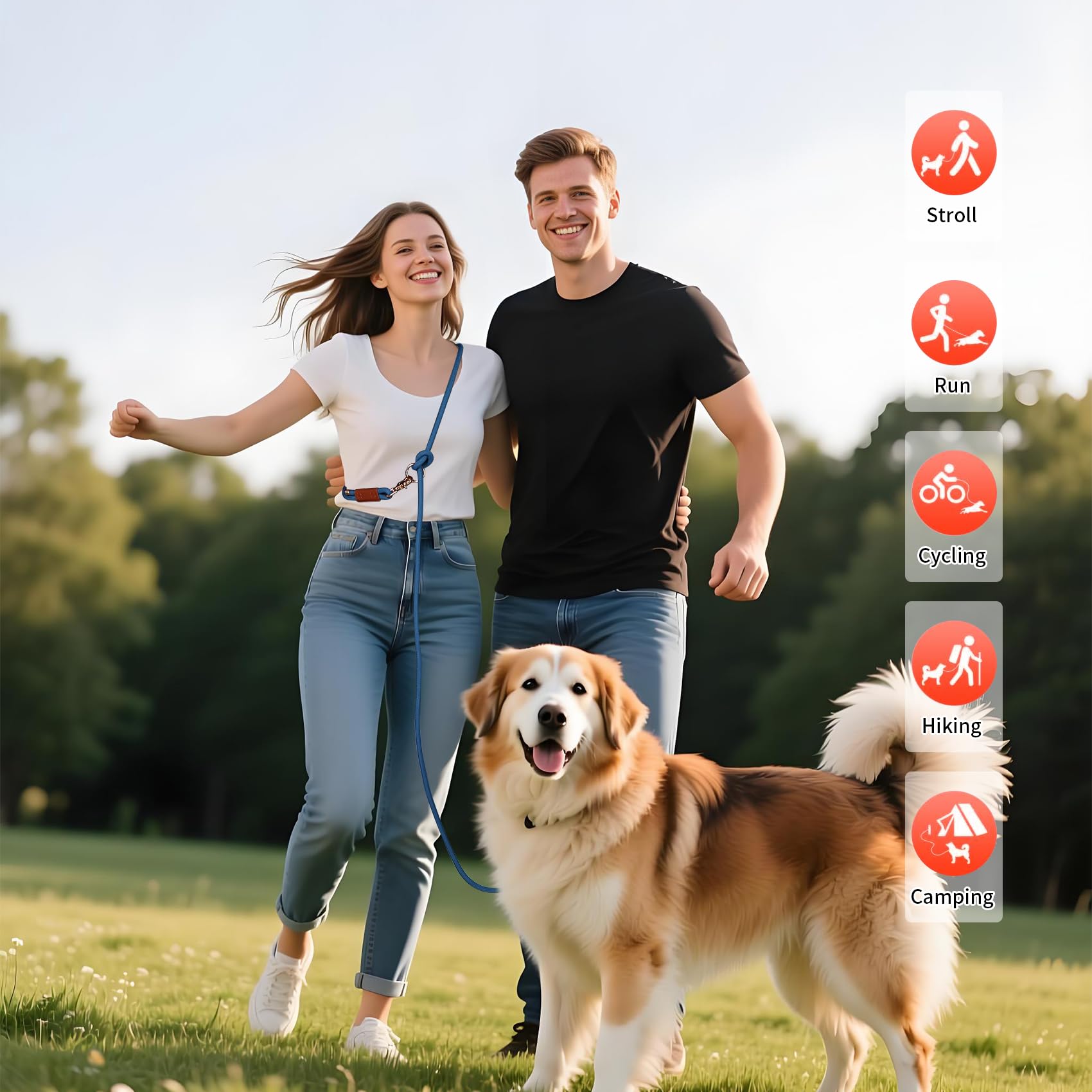 Tails & Tales no-pull training leash supports safer, smoother sessions