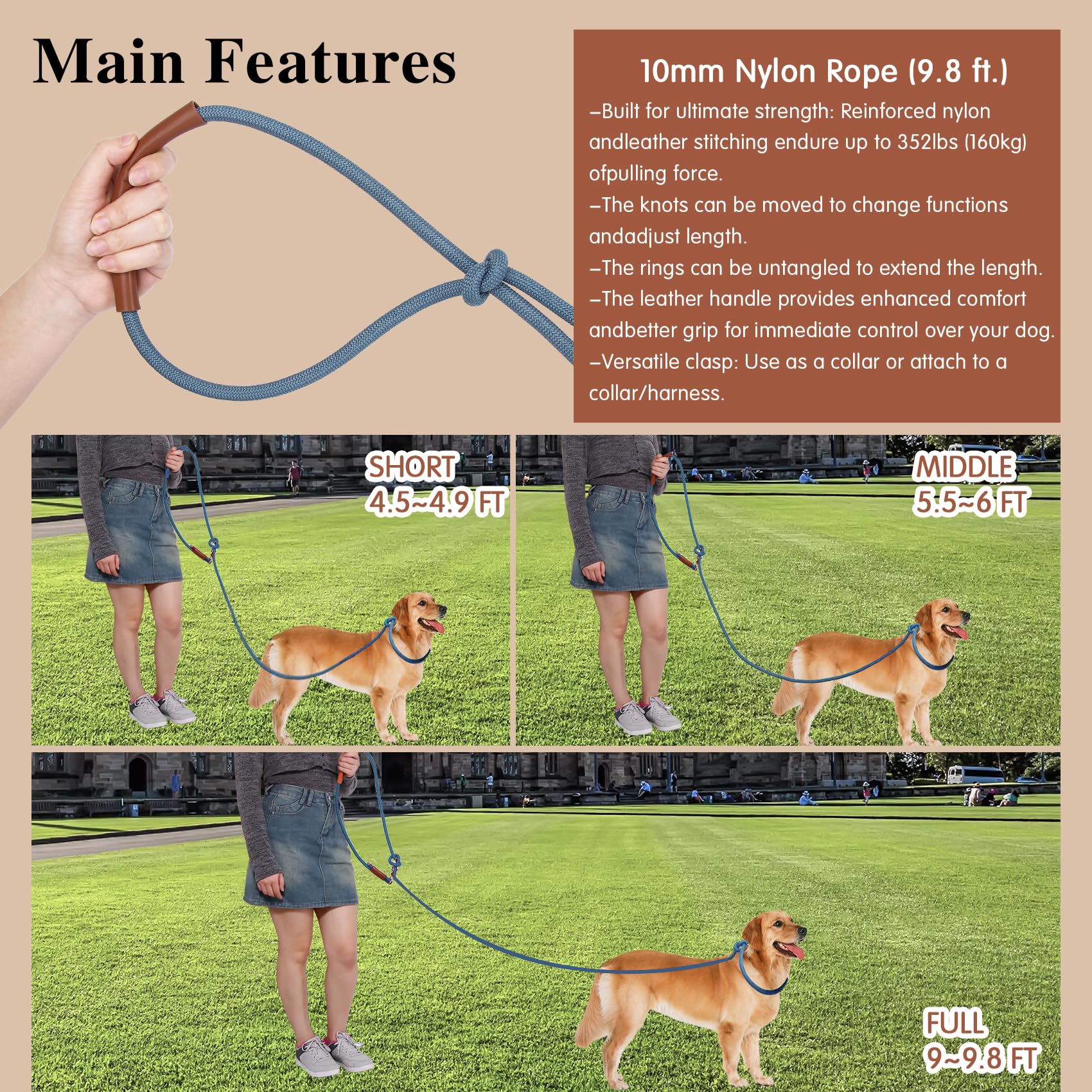 Tails & Tales waist-leash gives you hands-free versatility during workouts