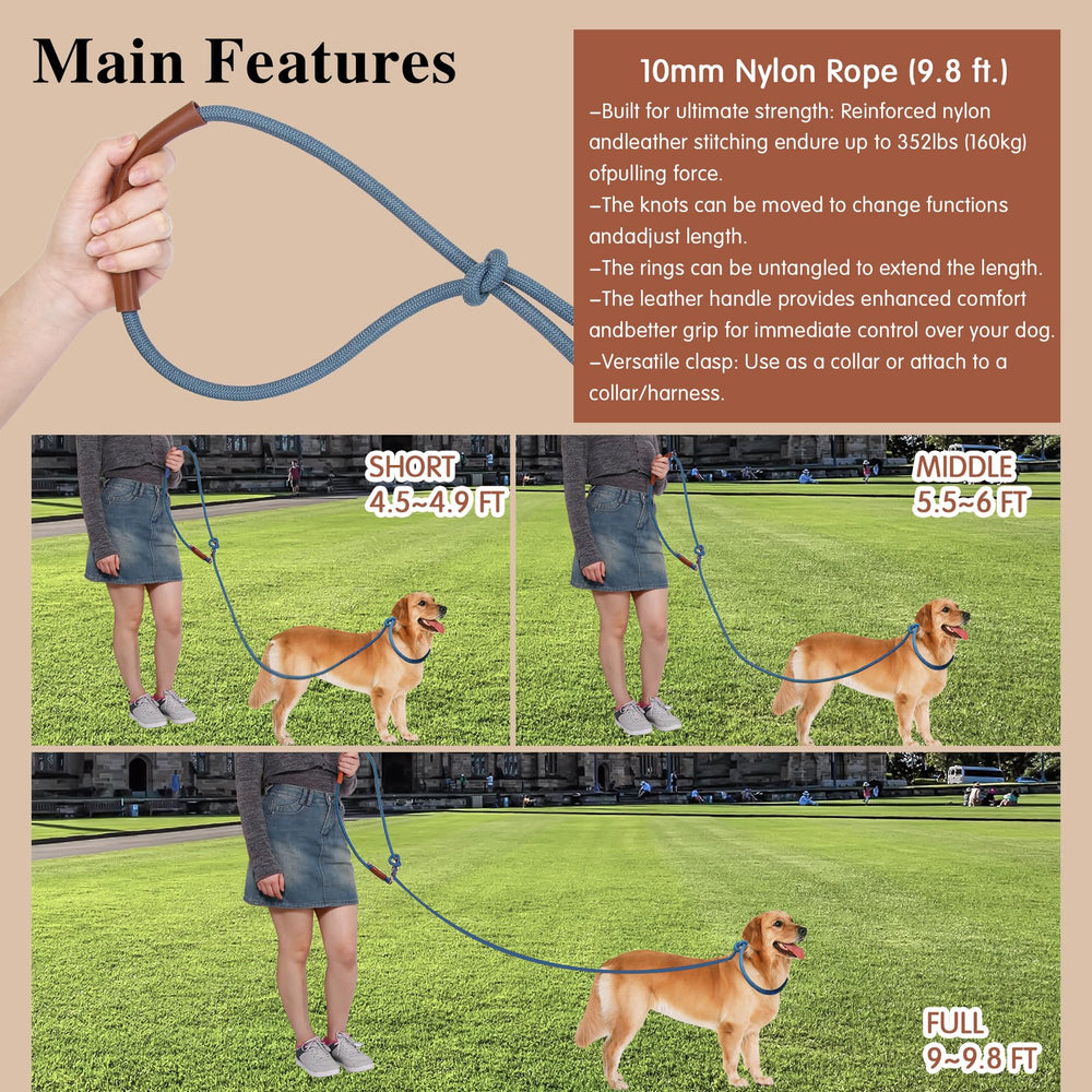 Tails & Tales waist-leash gives you hands-free versatility during workouts