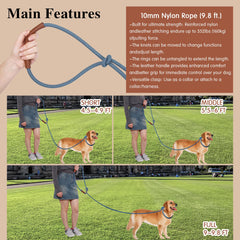 Tails & Tales waist-leash gives you hands-free versatility during workouts