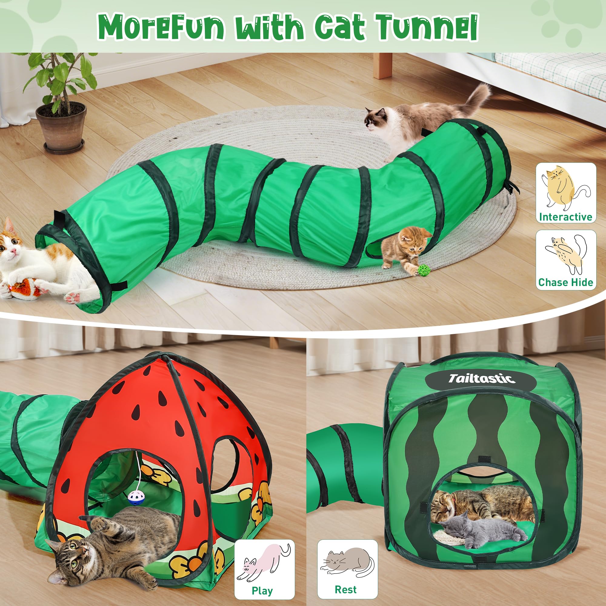 TailTastic magic-tape-assembly demonstrates toolfree setup and quick collapse for apartments