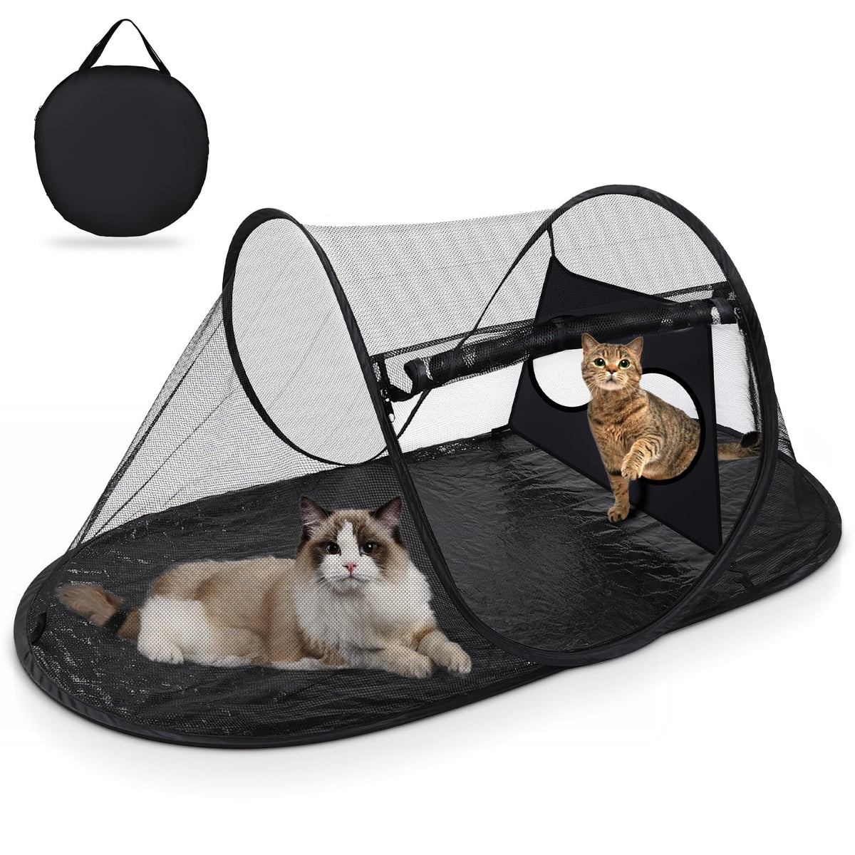 TailTastic outdoor cat tent setup demonstrates quick assembly for portable travel.