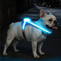 Tailuxe light-up-dog-harness 360° visibility for safer night walks