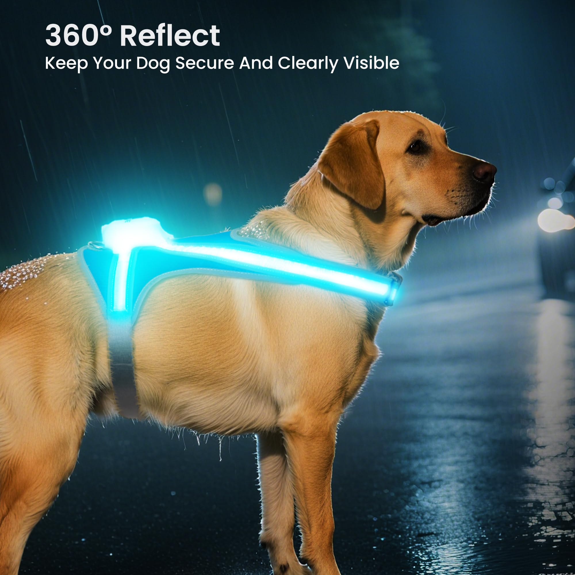 Tailuxe light-up-dog-harness ergonomic-fit for comfortable wear across breeds