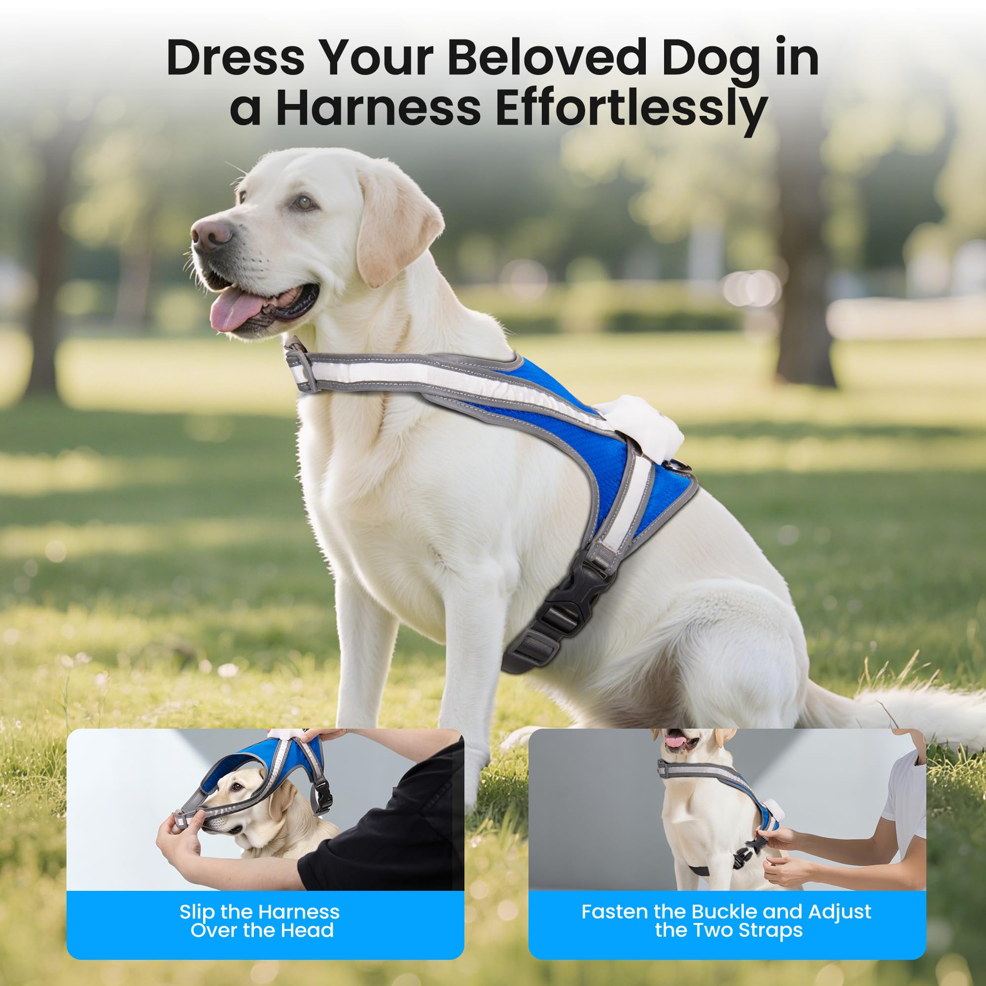 Tailuxe Light Up Dog Harness with USB Type-C fast charging for quick tops-ups.