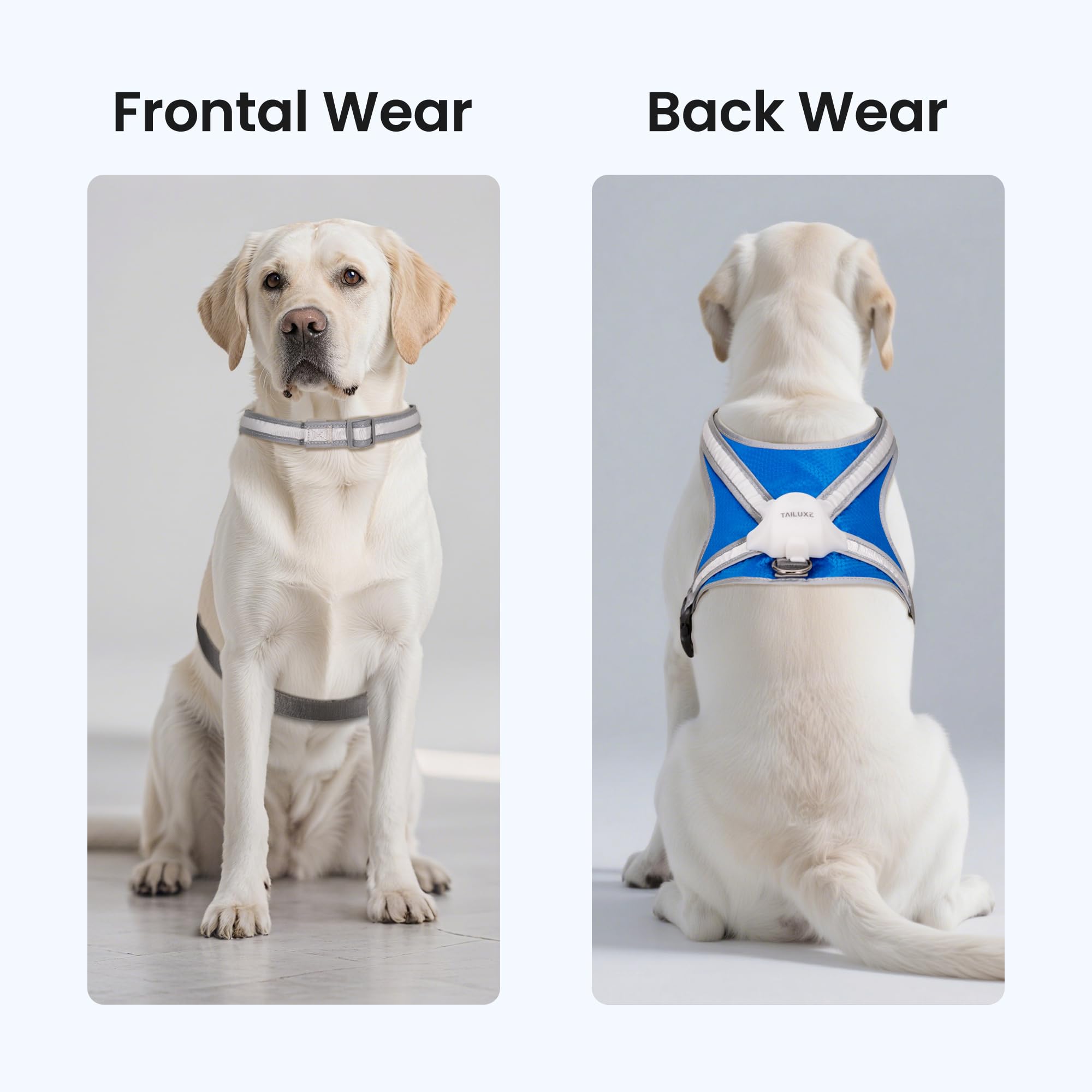 Tailuxe Light Up Dog Harness machine washable for simple after-play cleanup.