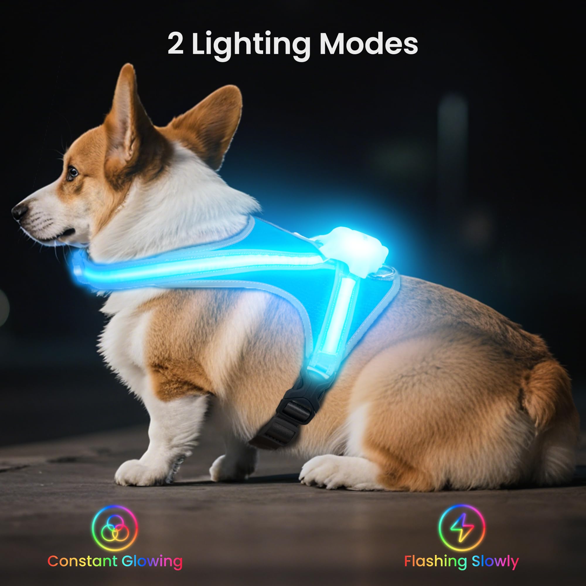Tailuxe light-up-dog-harness quick-wear design for fast on-and-off