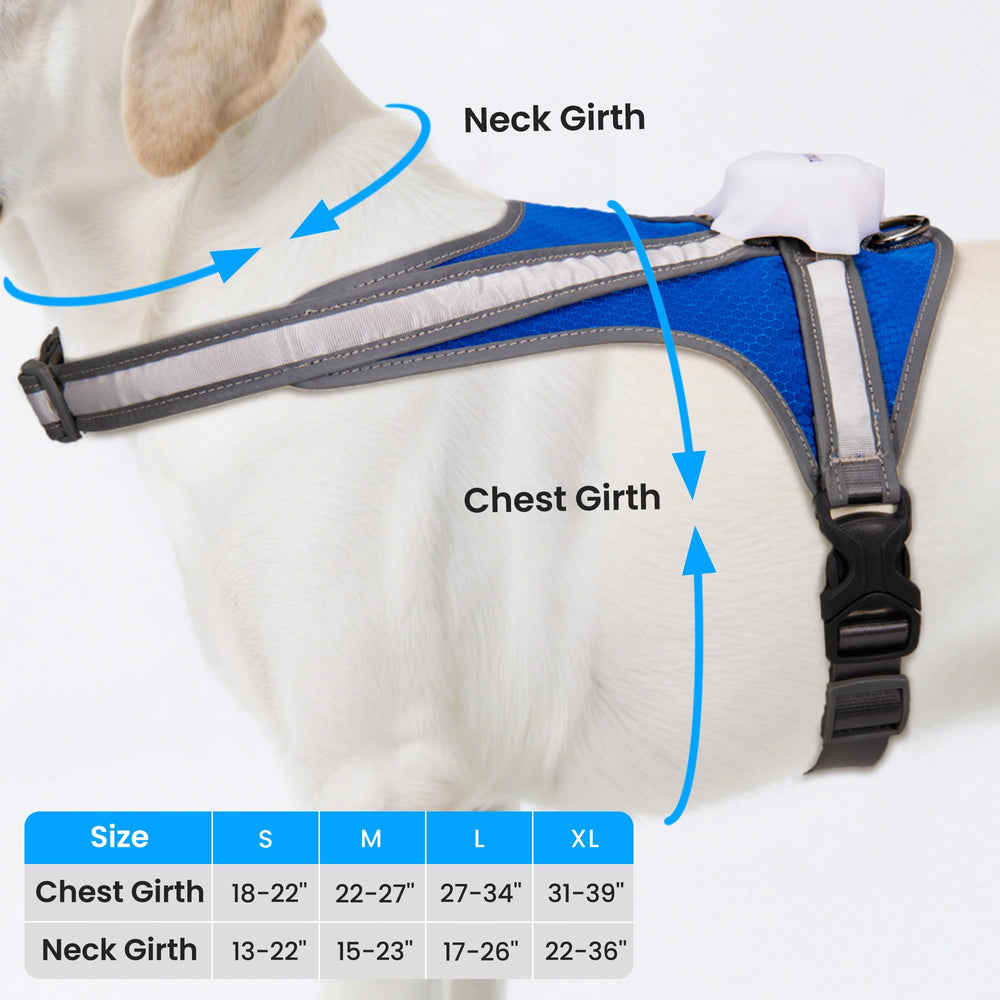 Tailuxe light-up-dog-harness type-c-charging for quick recharges