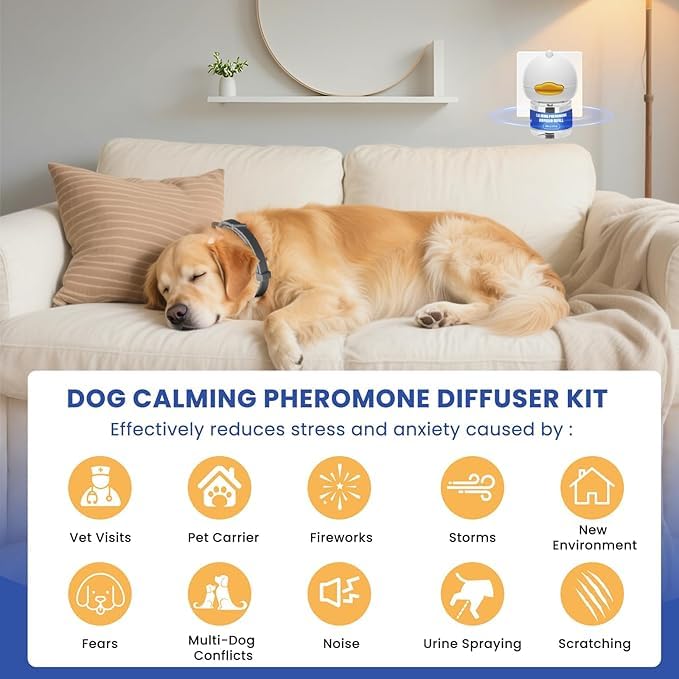 Tailwagpet 48ml refill vials 6-pack ready for ongoing dog stress relief