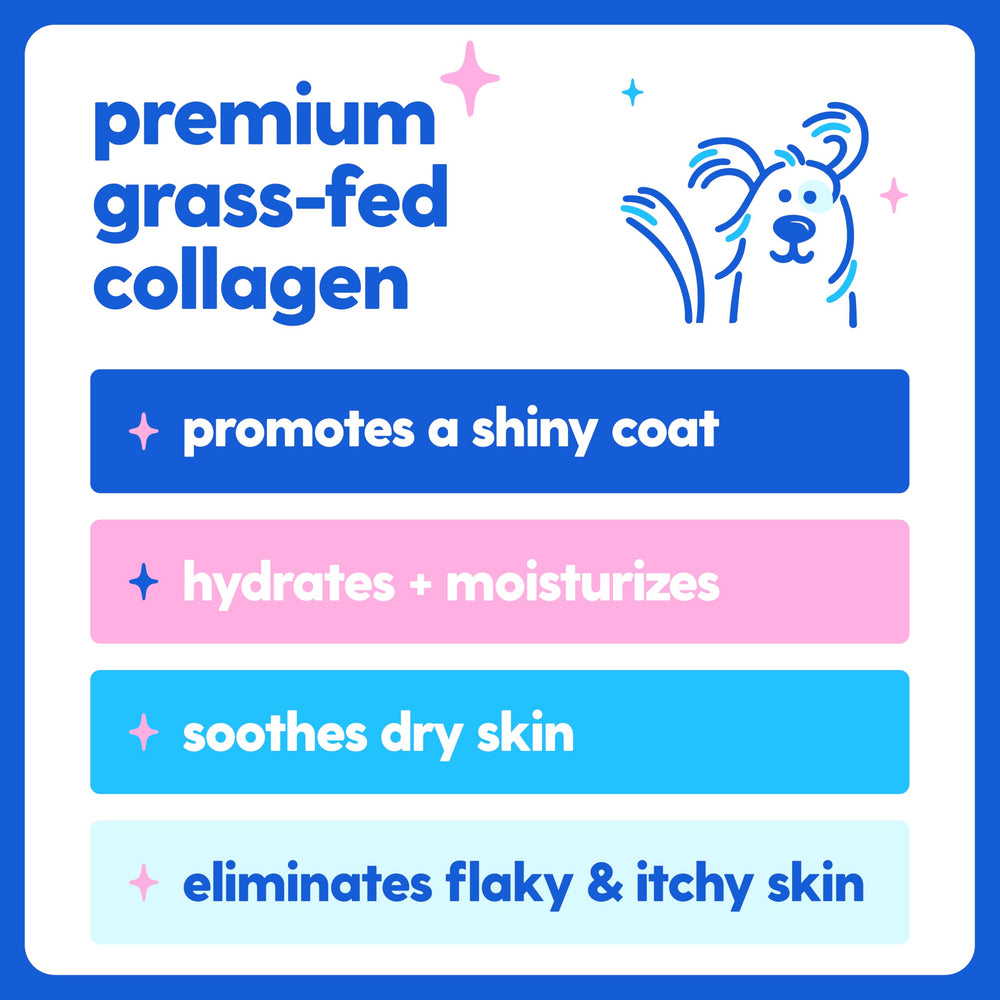 Taily collagen liquid bottle closeup highlights premium ingredients and quality.