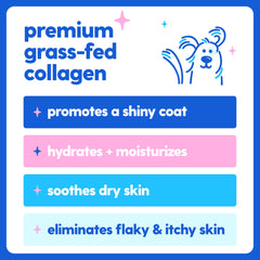 Taily collagen liquid bottle closeup highlights premium ingredients and quality.