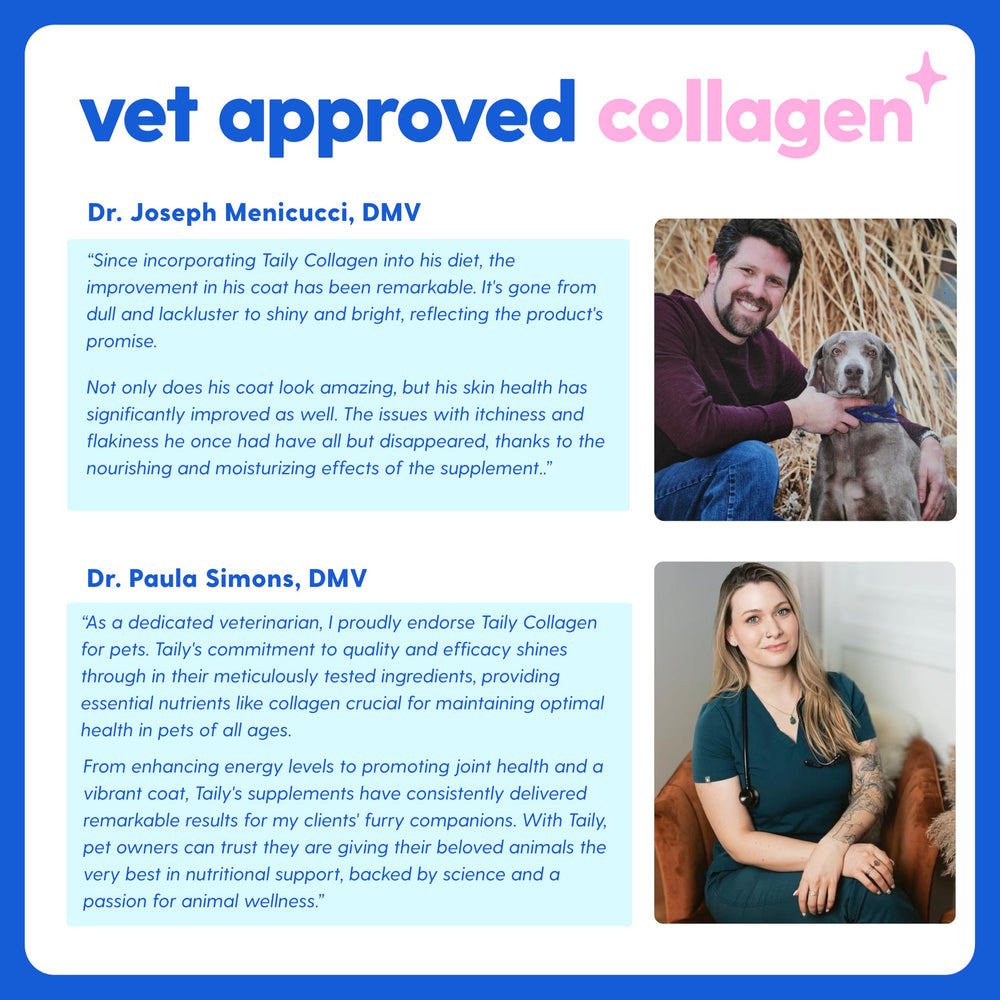 Taily collagen for pets skin softness demonstrates gentle relief from flaky skin.