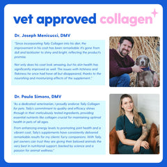 Taily collagen for pets skin softness demonstrates gentle relief from flaky skin.