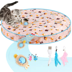 TAIMUTTAL ball-under-cover activates indoor enrichment during playful hunting sessions.