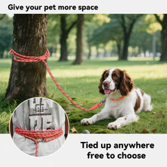 Tairro 10ft pink leash with reflective stitching for safer dusk walks