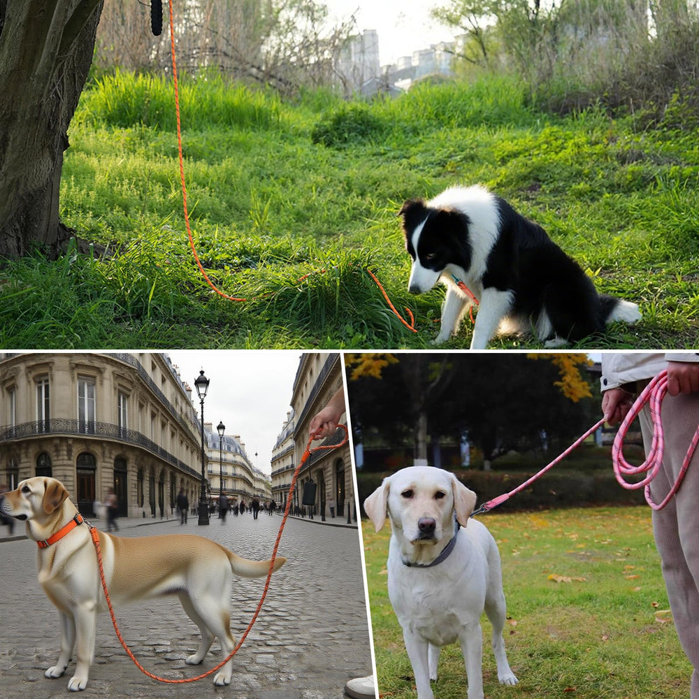 Tairro leash reflective stitching closeup showing visibility in low light