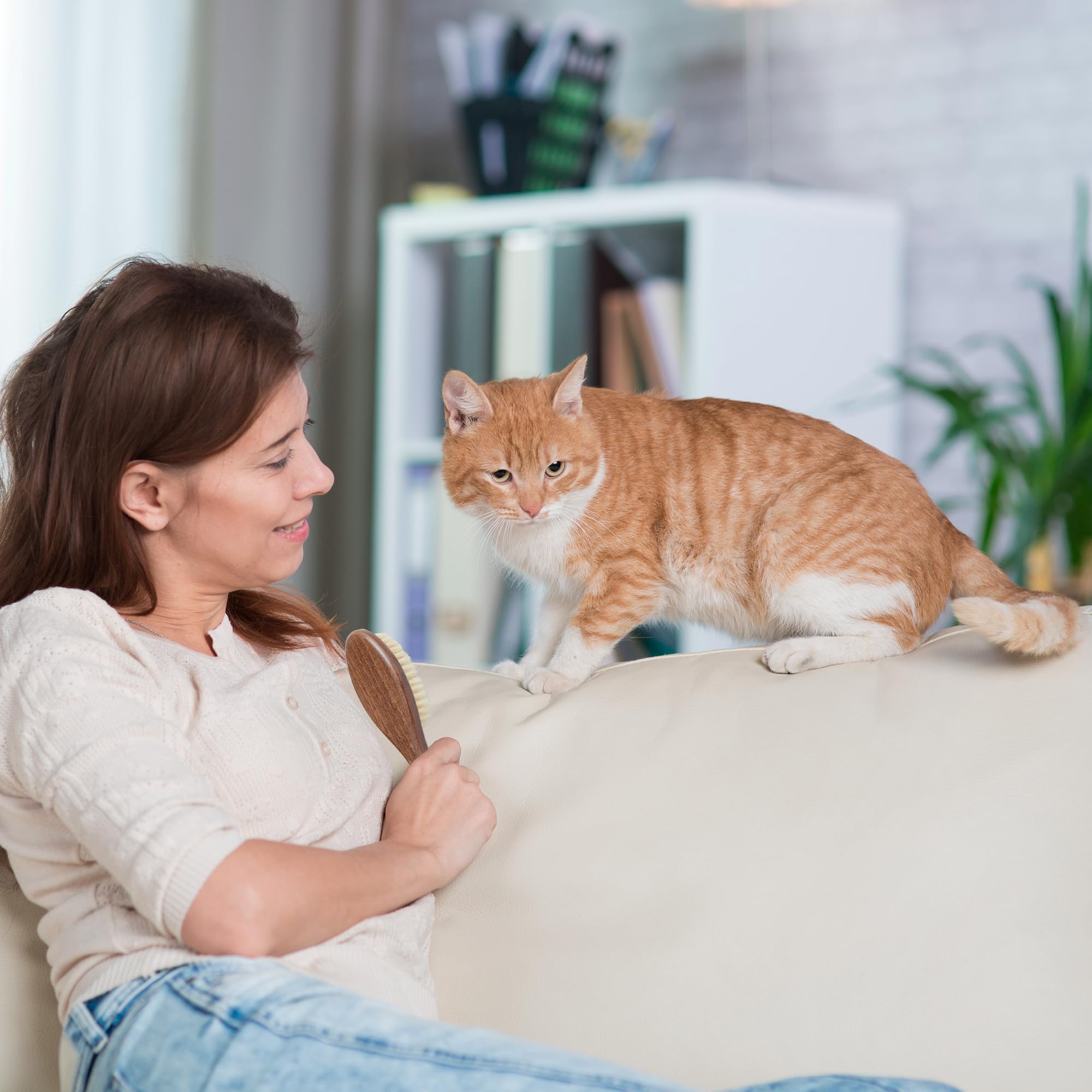 TAKAVU closeup of bristle-tip detail for sensitive coats