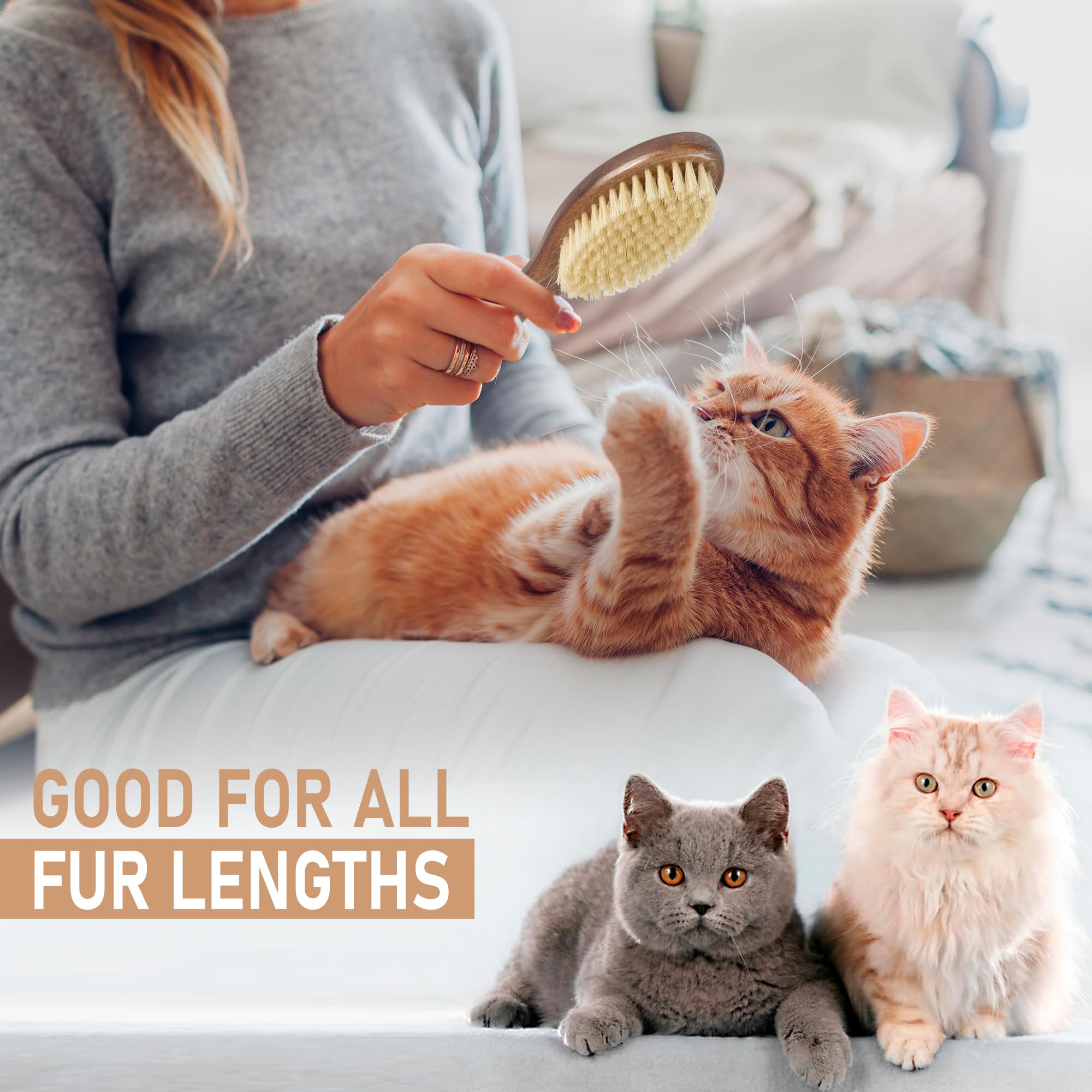 TAKAVU brush wood handle emphasizes ergonomic grip for daily grooming