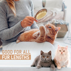 TAKAVU brush wood handle emphasizes ergonomic grip for daily grooming