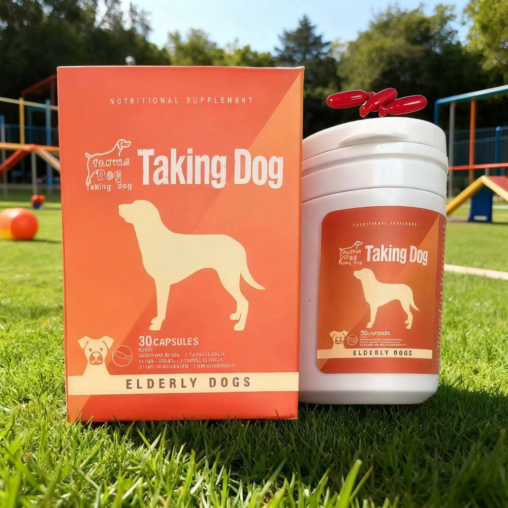 Taking Dog brain-function elderly dog walking after supplementation.