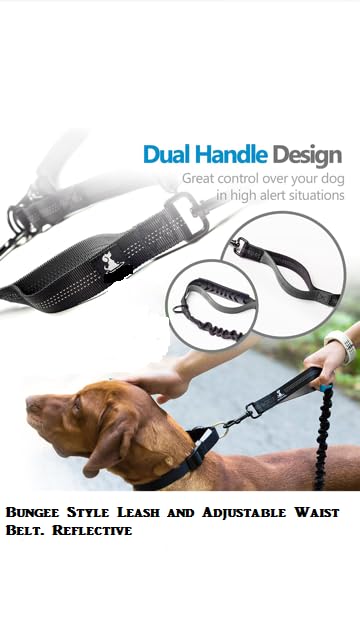 Talk to the Paw adjustable strap ensures secure, comfortable fit