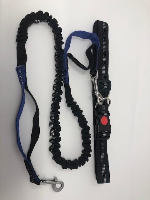 Talk to the Paw compact design for everyday dog walking and agility