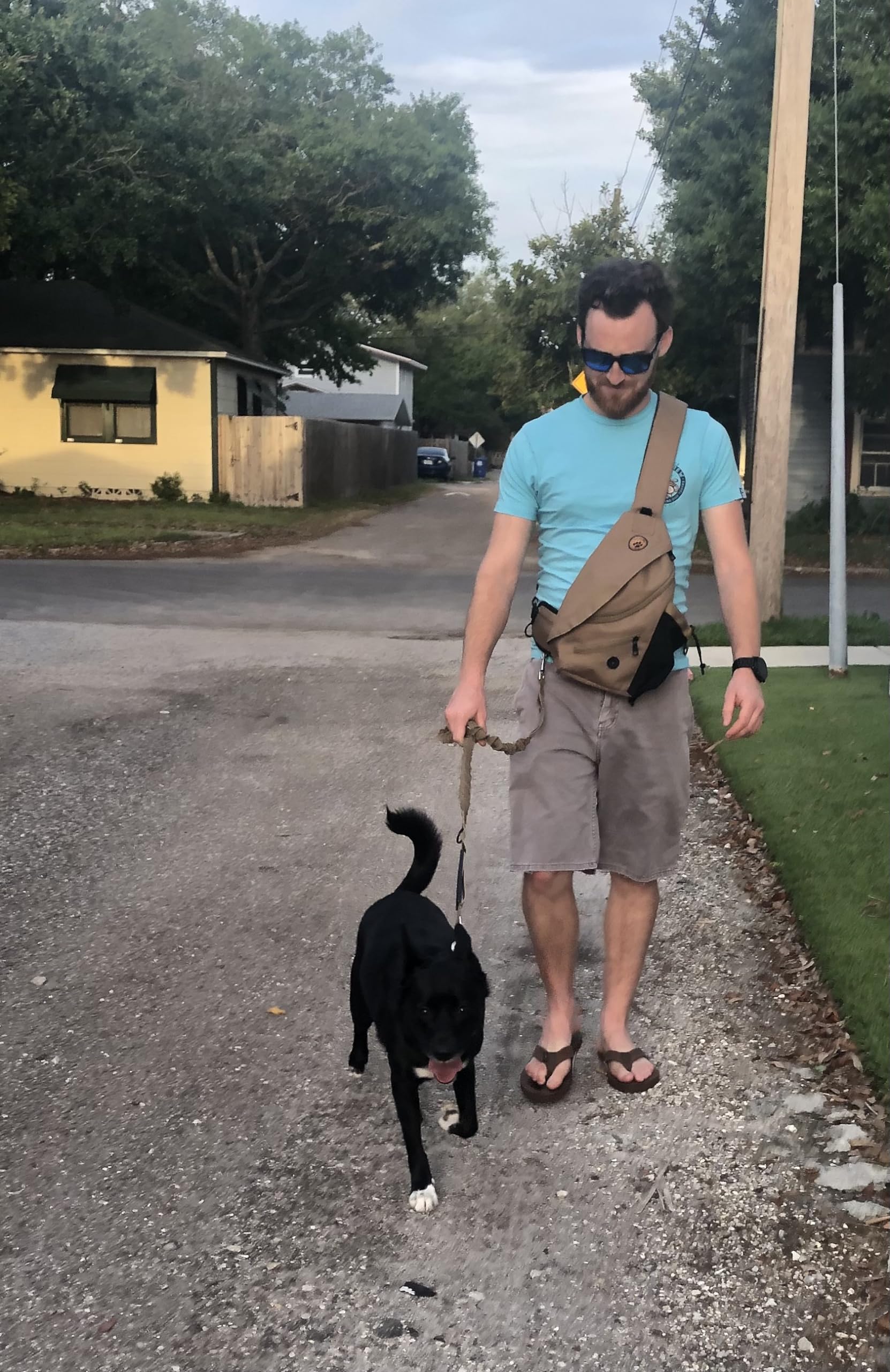 Talk to the Paw squeaker recall aids training cues during walks