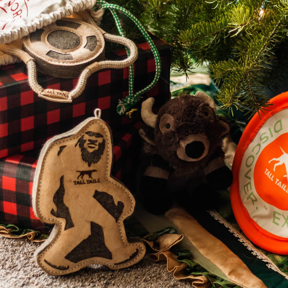 Tall Tails Big Jr durability showcase emphasizes long-lasting leather construction.