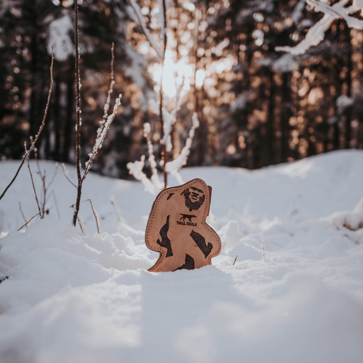 Tall Tails Big Jr packaged photo hints at gift-ready presentation.