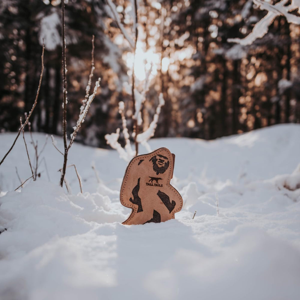 Tall Tails Big Jr packaged photo hints at gift-ready presentation.