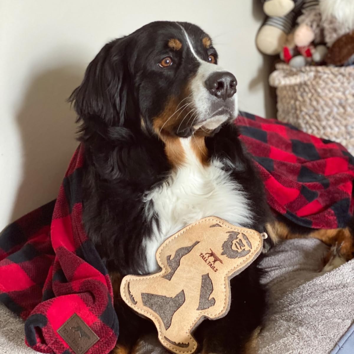 Tall Tails Big Jr tug-ready image highlights interactive play opportunity.