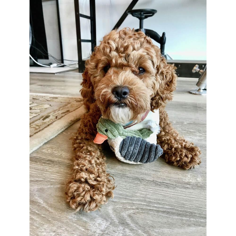 Tall Tails Duckling squeaker close-up, highlights durable pocketed squeaker for extended play.