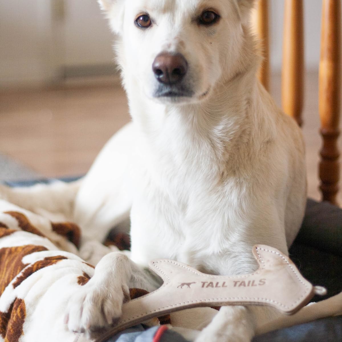 Tall Tails leather antler fetch toy suited for medium to large dogs