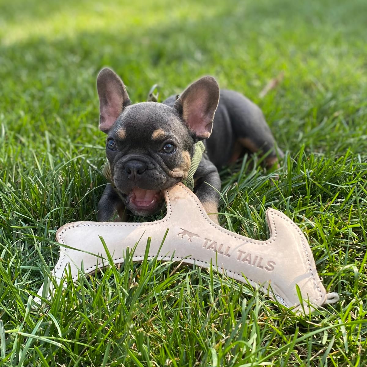 Tall Tails leather antler fetch toy packaging displays size and material