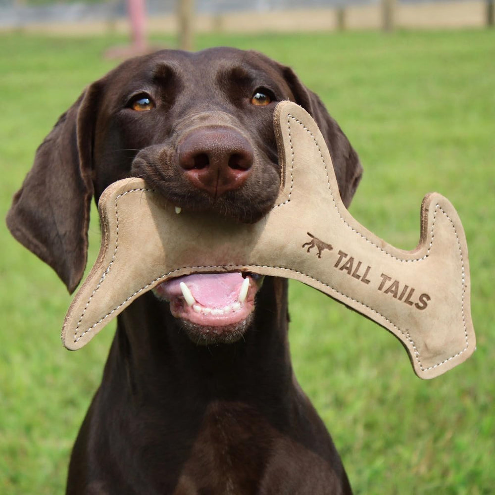 Tall Tails leather antler fetch toy tug of war shot