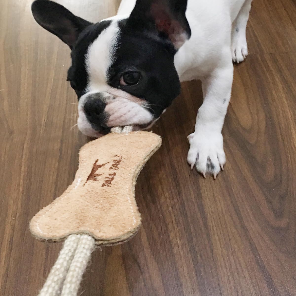 Tall Tails Not-chew toy warning, supervision recommended during playtime.