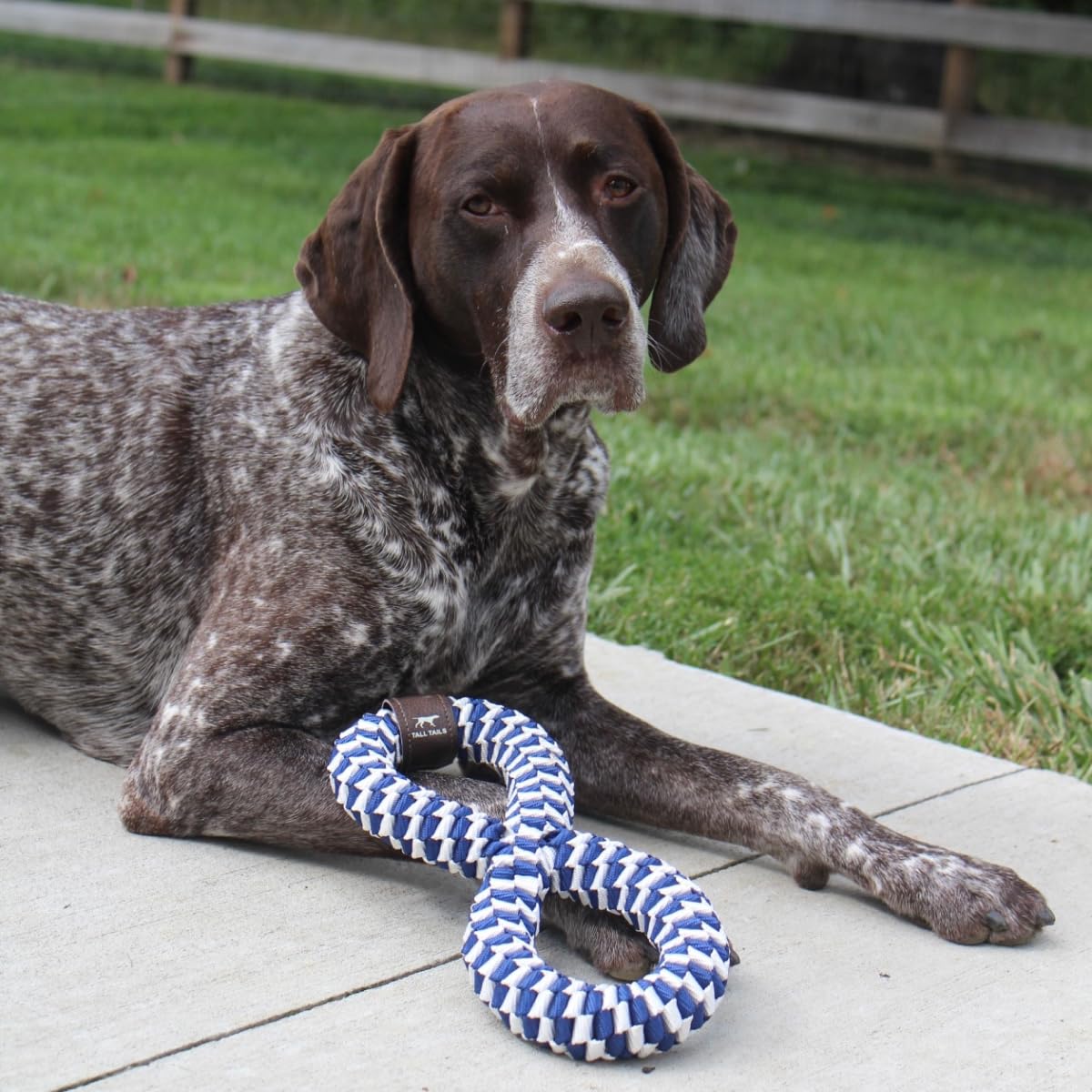 Durable braided toy in outdoor setting for exercise and play