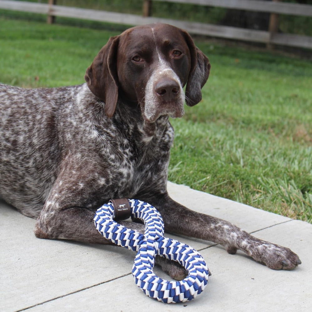 Durable braided toy in outdoor setting for exercise and play