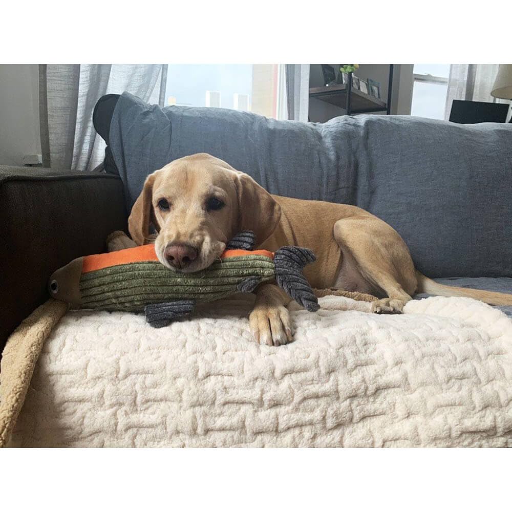 Tall Tails plush fish closeup shows sewn-in squeaker for extra protection.