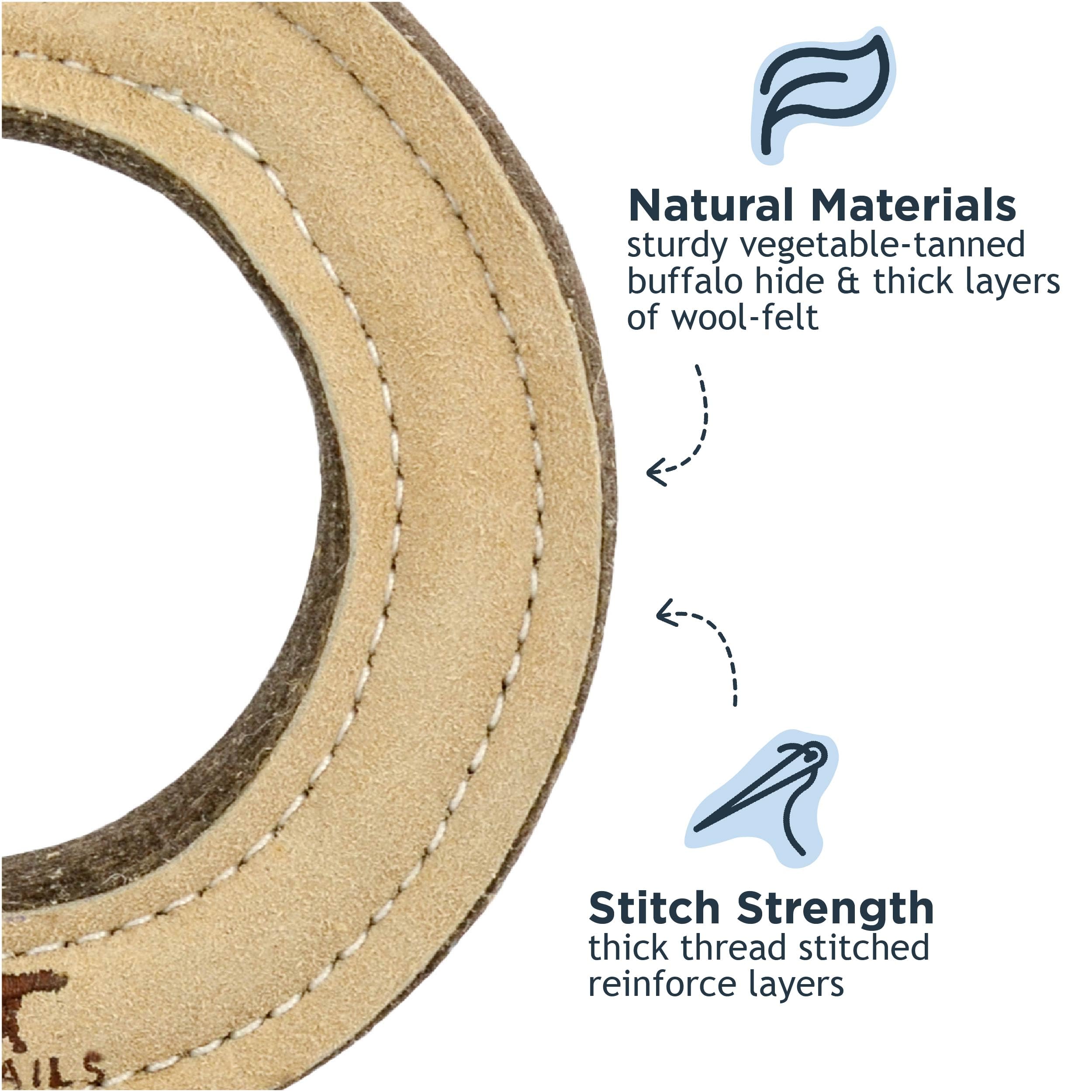 Tall Tails Ring 7-inch leather ring – great for medium and large dogs.