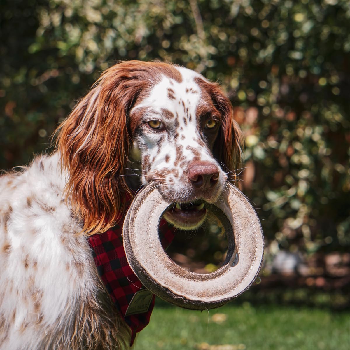Tall Tails Ring stitching detail – wool-felt layers add reinforcement during play.